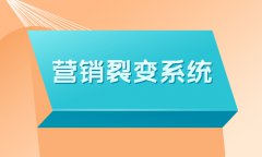 商城推廣要怎么做？關(guān)于網(wǎng)上商城推廣方案的介紹解讀